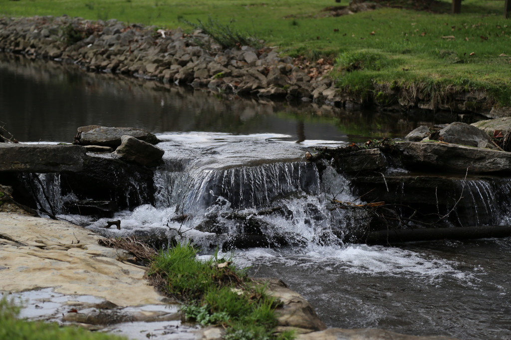 Beautiful stream