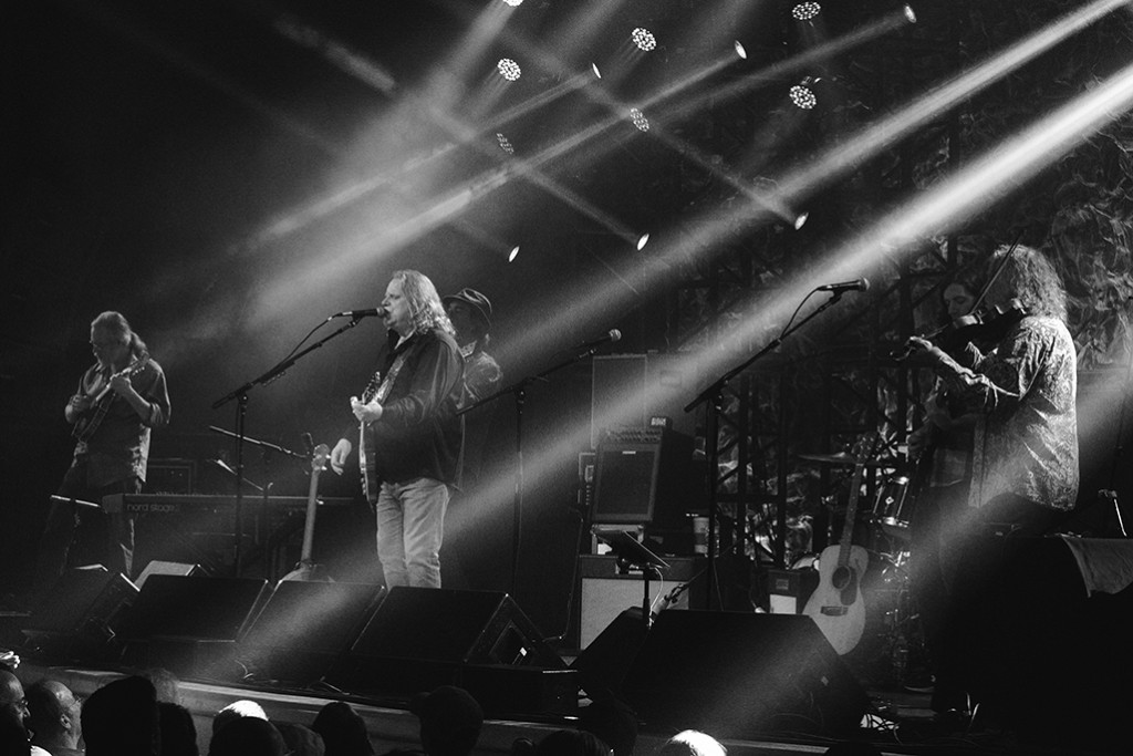Warren Haynes