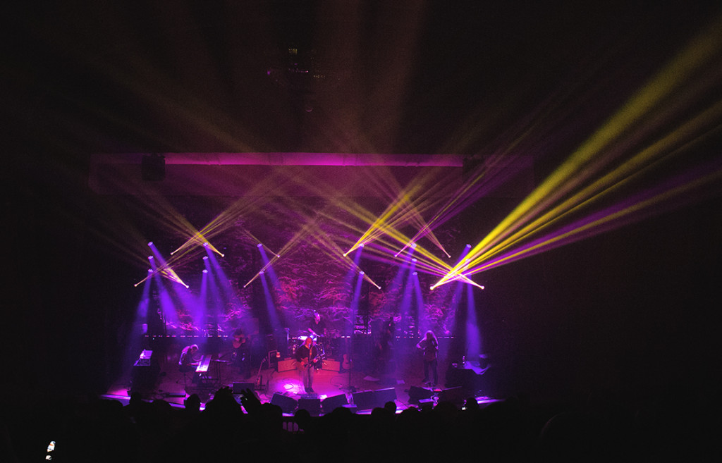 Warren Haynes