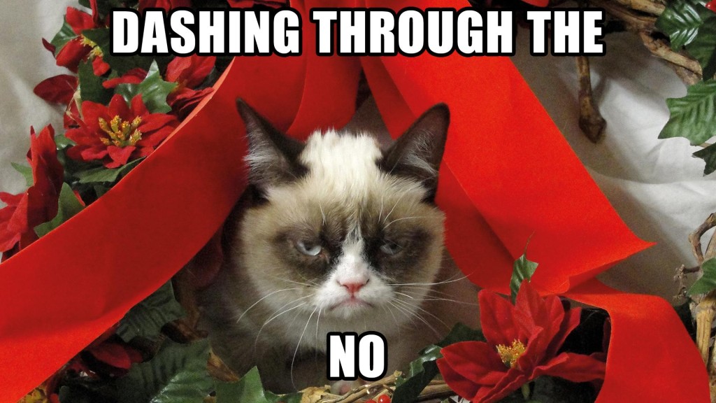 Grumpy Cat
